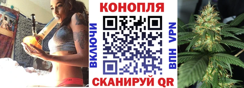 Купить закладку Суворов ГАШ Марихуана Меф мяу мяу