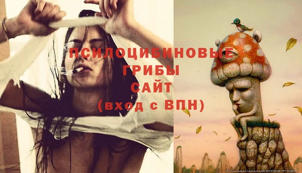 ПСИЛОЦИБИНОВЫЕ ГРИБЫ Покровск