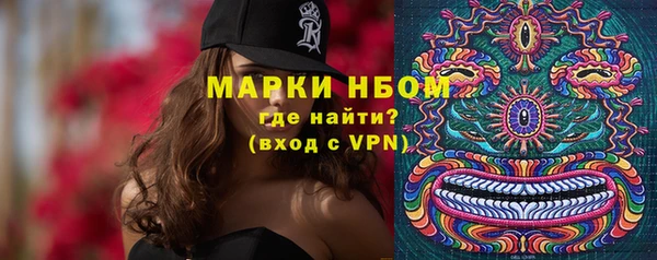 Альфа ПВП Аркадак