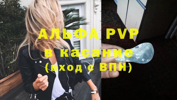 молекула духа Покров
