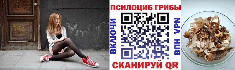 Галлюциногенные грибы мицелий Суворов